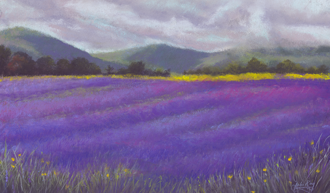 'Lavender Fields of Tasmania' Original Artwork - Size: 9x15