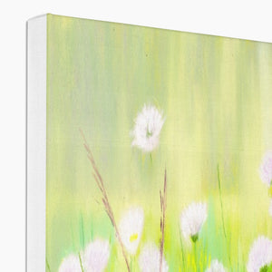 'Summer Daisies' Canvas