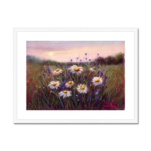 'Sunset Daisies' Framed & Mounted Print