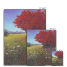 Load image into Gallery viewer, &#39;Red Tree Meadow&#39; Canvas
