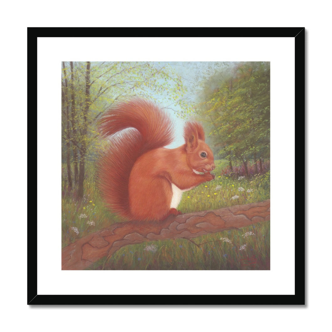 'Little Red Squirrel' Framed & Mounted Print