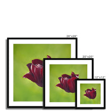 Load image into Gallery viewer, &#39;The Beauty of Age&#39; Framed &amp; Mounted Print
