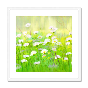 'Summer Daisies' Framed & Mounted Print