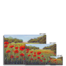 Load image into Gallery viewer, &#39;Poppy Fields&#39; Canvas

