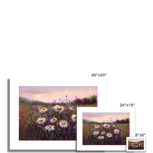 'Sunset Daisies' Fine Art Print