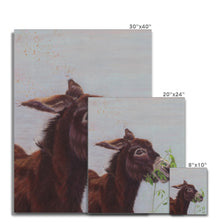 Load image into Gallery viewer, &#39;Derrick Pegasus No 2&#39; Canvas
