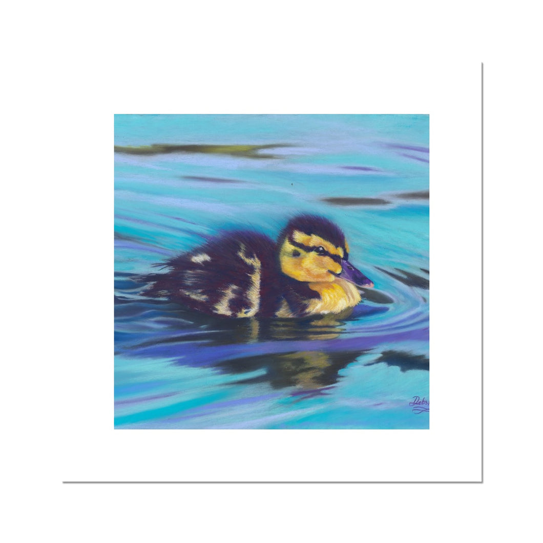 'Little Duckling Cruise' Fine Art Print