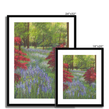 Load image into Gallery viewer, &#39;Bluebells &amp; Maples&#39; Framed &amp; Mounted Print
