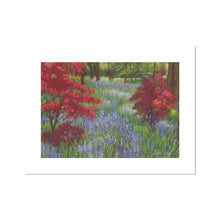 Load image into Gallery viewer, &#39;Bluebells &amp; Maples&#39; Fine Art Print
