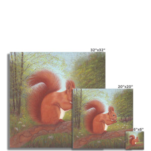 'Little Red Squirrel' Fine Art Print