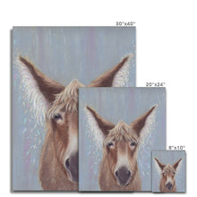 Load image into Gallery viewer, &#39;Lily Pegasus&#39; Canvas
