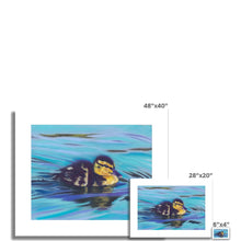 Load image into Gallery viewer, &#39;Little Duckling Cruise&#39; Fine Art Print
