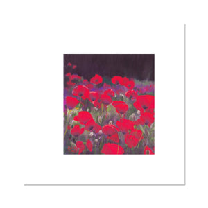 'Poppies to Remember' Fine Art Print