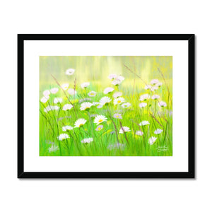 'Summer Daisies' Framed & Mounted Print