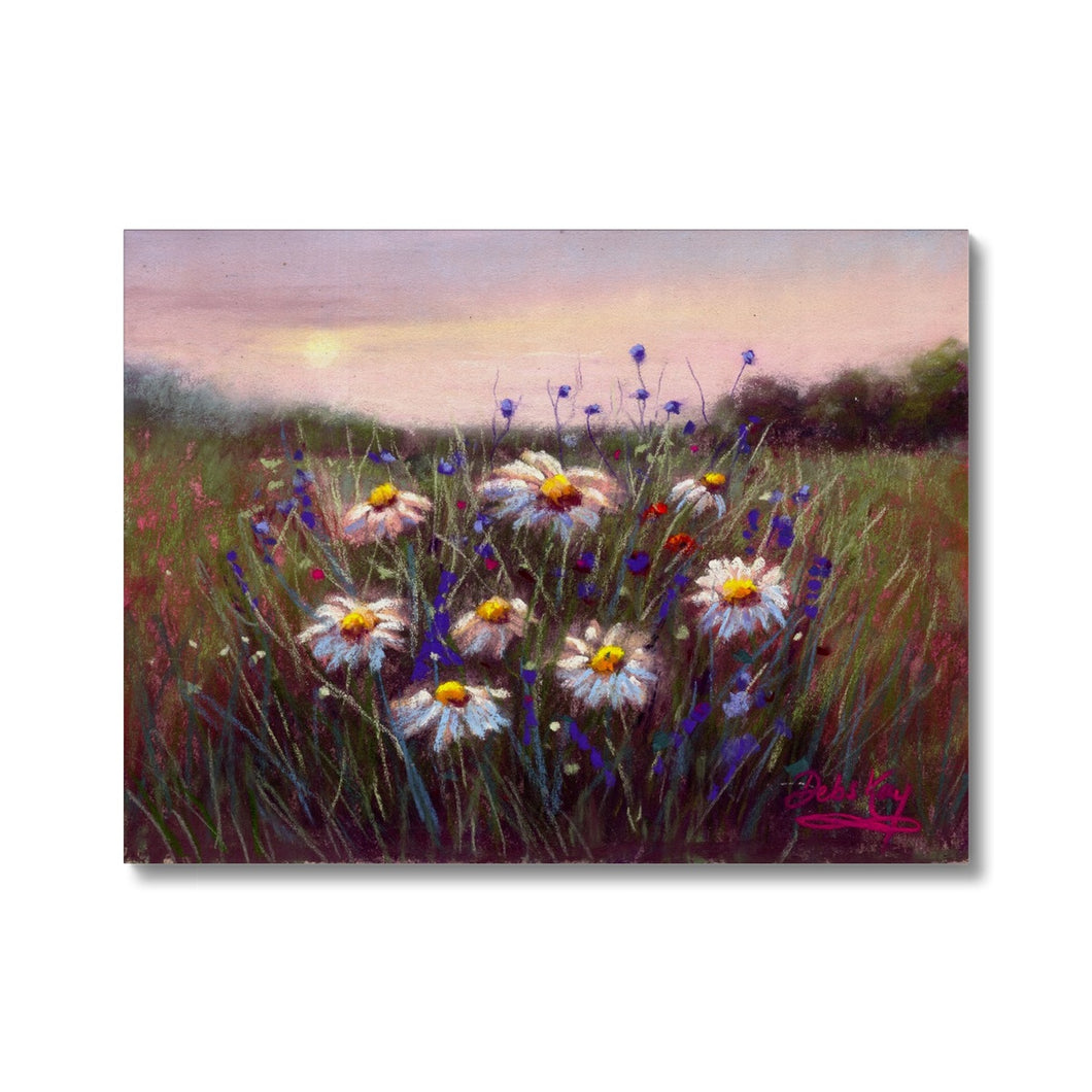 'Sunset Daisies' Canvas