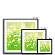 Load image into Gallery viewer, &#39;Summer Daisies&#39; Framed &amp; Mounted Print
