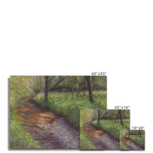 'Woodland Spring' Canvas