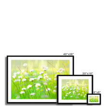 Load image into Gallery viewer, &#39;Summer Daisies&#39; Framed &amp; Mounted Print
