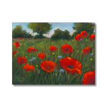 Load image into Gallery viewer, &#39;Wild Poppies&#39; Canvas
