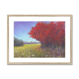 'Red Tree Meadow' Framed & Mounted Print