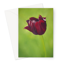 Load image into Gallery viewer, &#39;The Beauty of Age&#39; Greeting Card
