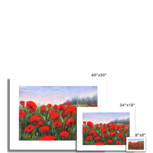 'Field of Poppies' Fine Art Print