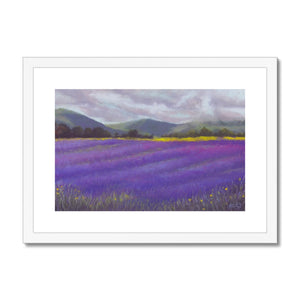 'Lavender Fields of Tasmania' Framed & Mounted Print