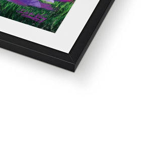 'Pretty Pansies' Framed & Mounted Print
