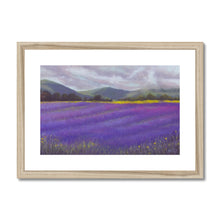 Load image into Gallery viewer, &#39;Lavender Fields of Tasmania&#39; Framed &amp; Mounted Print
