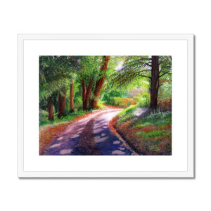 'The Sunlit Path' Framed & Mounted Print