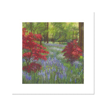 Load image into Gallery viewer, &#39;Bluebells &amp; Maples&#39; Fine Art Print
