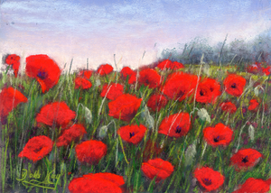 'Field of Poppies' Original Artwork - Size: 5x7"