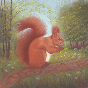 'Little Red Squirrel' Original Artwork - Size: 10x10"
