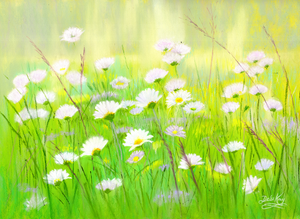'Summer Daisies' Original Artwork - Size: 10x13"