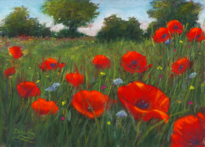 'Wild Poppies' Original Artwork - Size: 5x7"