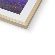 Load image into Gallery viewer, &#39;Lavender Fields of Tasmania&#39; Framed &amp; Mounted Print
