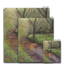 Load image into Gallery viewer, &#39;Woodland Spring&#39; Canvas
