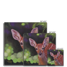 Load image into Gallery viewer, &#39;Friendly Fawn&#39; Canvas
