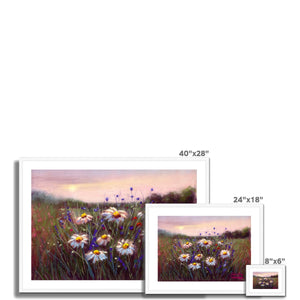 'Sunset Daisies' Framed & Mounted Print
