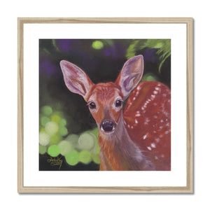 'Friendly Fawn' Framed & Mounted Print