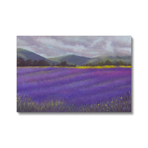 'Lavender Fields of Tasmania' Canvas