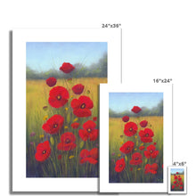 Load image into Gallery viewer, &#39;A Family of Poppies&#39; Fine Art Print
