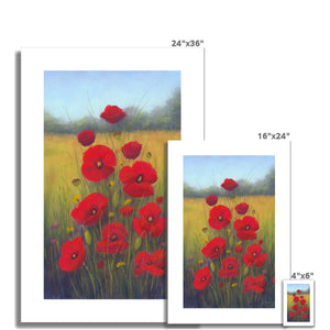 'A Family of Poppies' Fine Art Print