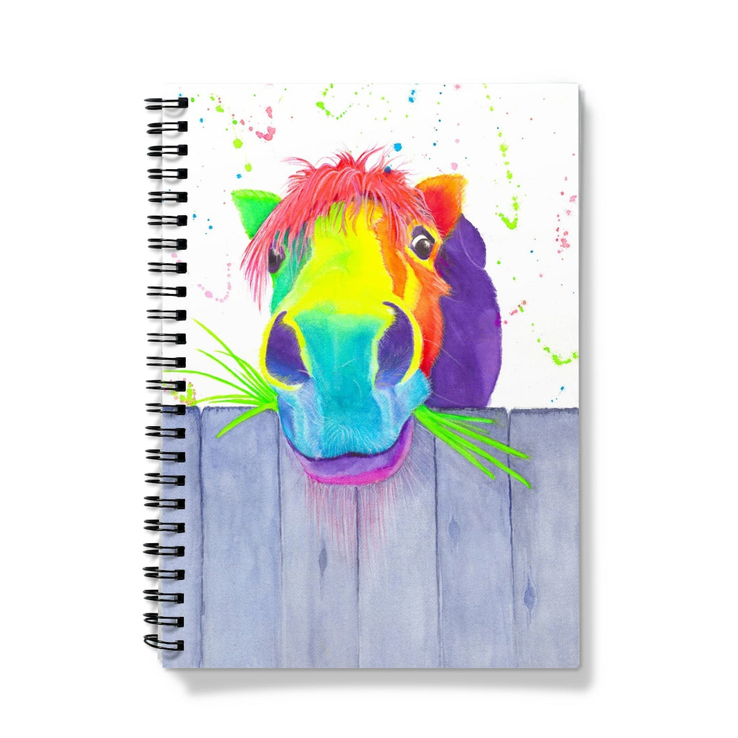 'Hazel Pegasus' Notebook