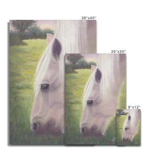 'Angel Horse' Canvas