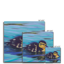 Load image into Gallery viewer, &#39;Little Duckling Cruise&#39; Canvas
