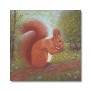 'Little Red Squirrel' Canvas