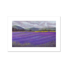 Load image into Gallery viewer, &#39;Lavender Fields of Tasmania&#39; Fine Art Print
