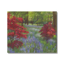 Load image into Gallery viewer, &#39;Bluebells &amp; Maples&#39; Canvas
