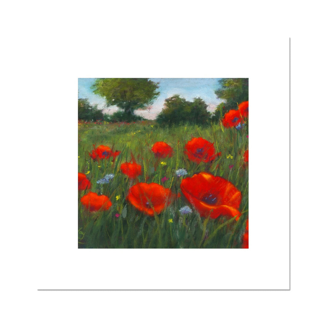'Wild Poppies' Fine Art Print